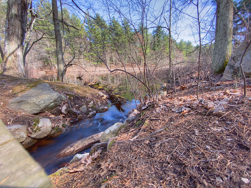 Noon Hill Reservation Trail Head - Thumbnail