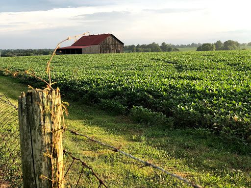 HOME|LAND of Kentucky Real Estate Professionals