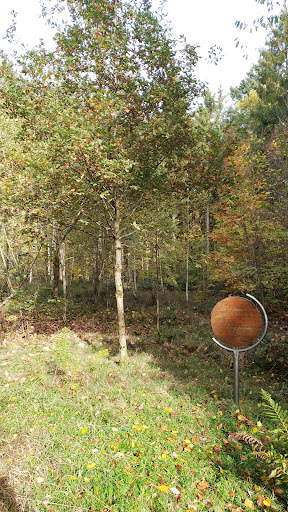 St. Georgs Eiche