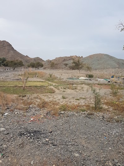 مزرعة المرحوم خميس المشحوف