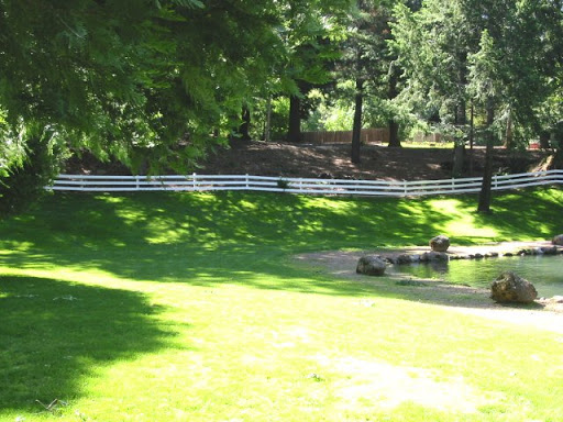 Smith's Mt. St. Helena Trout Farm & Hatchery Logo