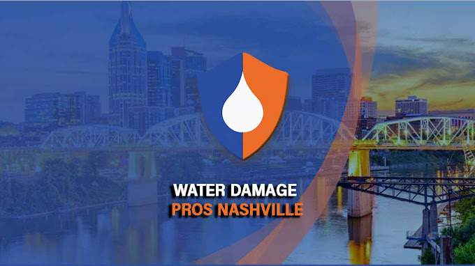 Water Damage Pros TN photo