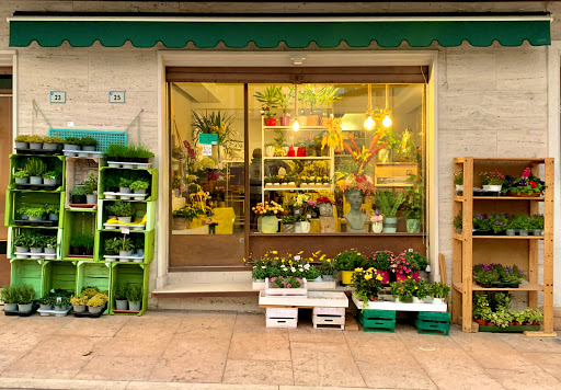 Il Giardino di Mario