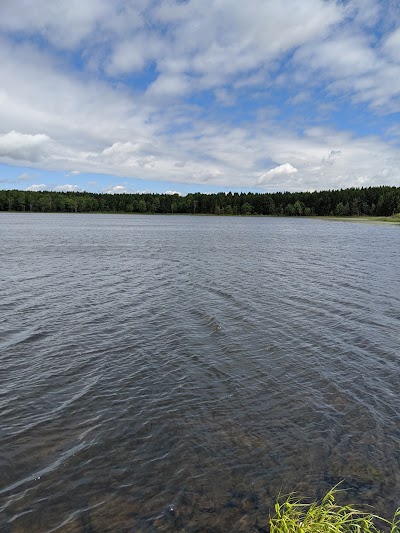 Allen Lake State Forest