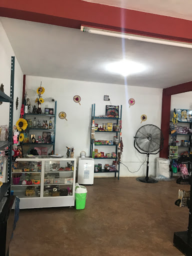 Laus Mini Store - Visual
