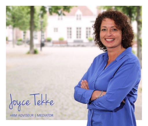 Tekke Advies | mediation | juridisch advies bij ontslag Logo