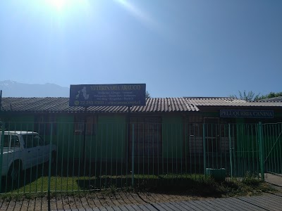 Photos of Veterinaria Arauco