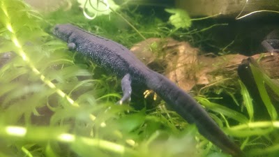 Photos of Riga Zoo