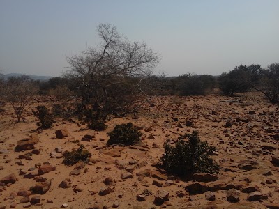Photos of Nwanedzi Luphephe Resort