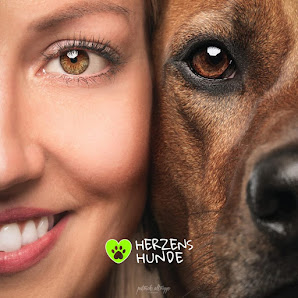 Herzenshunde - Hundetraining mit Herz und Verstand Kieferneck, 29323 Wietze, Deutschland