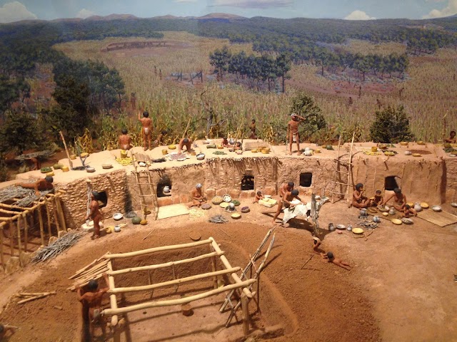 Mesa Verde National Park