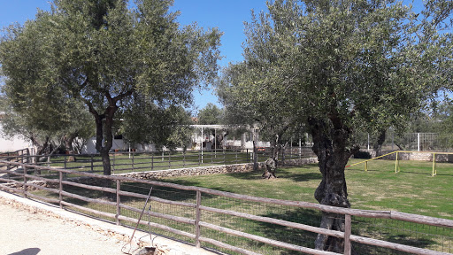 Oasi San Felice - Thumbnail