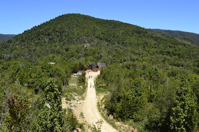 park