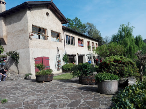 Cantine Miraval di Miraval Ferdinando - Azienda Agricola - Thumbnail