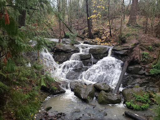 Cedar Mill Falls - Visual