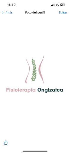 Fisioterapia a domicilio. Fisioterapia Ongizatea - Thumbnail