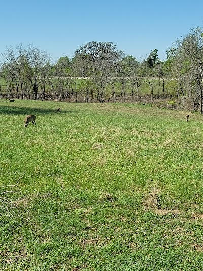 Yegua Creek Park