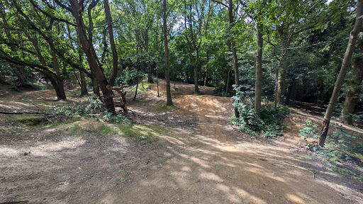 Laindon hills bike jumps