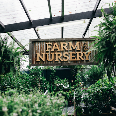 Tropical Fruit World by null