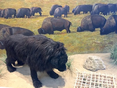 Lewis & Clark Interpretive Center