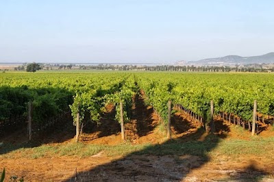 Photos of Cantina - Tenuta La Badiola