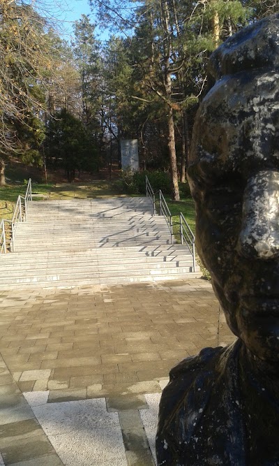 Photos of Crkva Bosanska