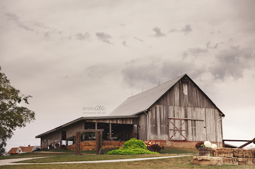Timber Ridge Farm, LLC Logo