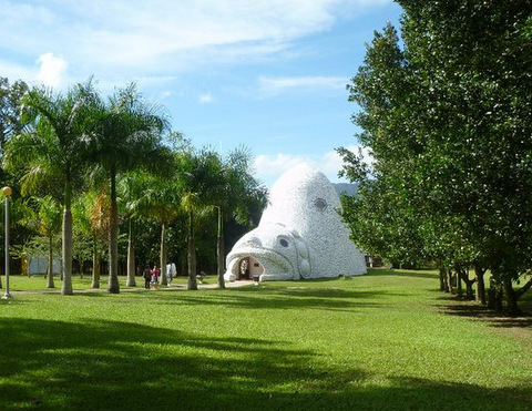 Tu Centro, Jayuya - Thumbnail