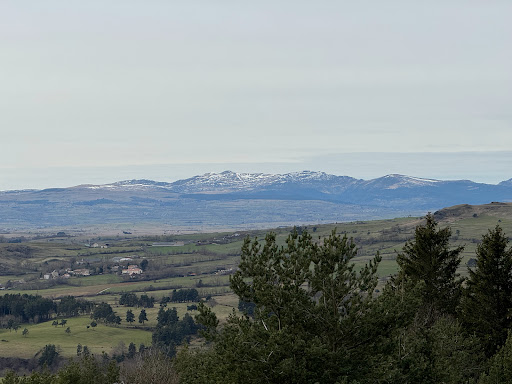 Photo 4 - Aire du Cantal