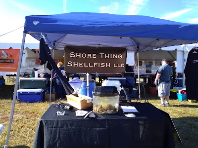 U.S. Oyster Festival