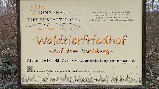Parkplatz Buchberg Aussichtsturm - Thumbnail