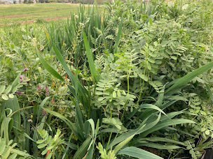 Photo n°6 de Au Coin du Parc à Poisy (Magasin bio)