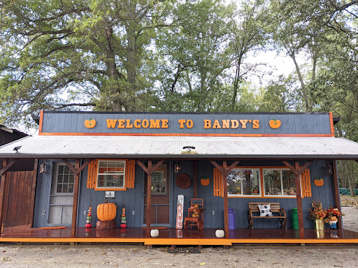Bandys Pumpkin Patch - Visual