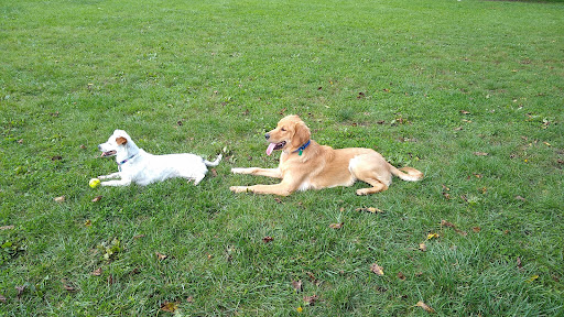 James O. Breen Community Dog Park - Thumbnail