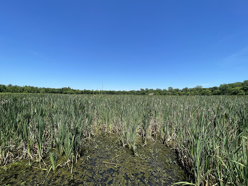 The Watershed Nature Center - Thumbnail
