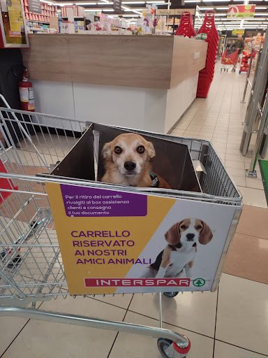 Interspar - Visual