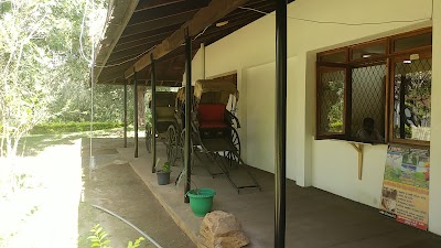 Photos of Digana Village Resort