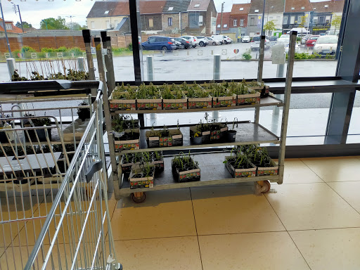 Lidl Saint-Amand-les-Eaux - Thumbnail