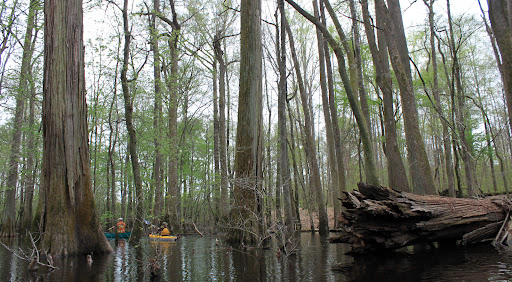 Blackwater River Preserve
