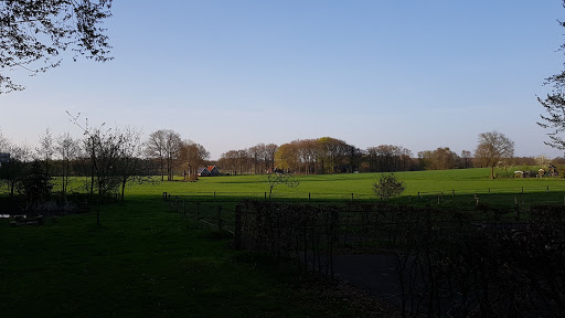 De Bosrand Twente - Thumbnail