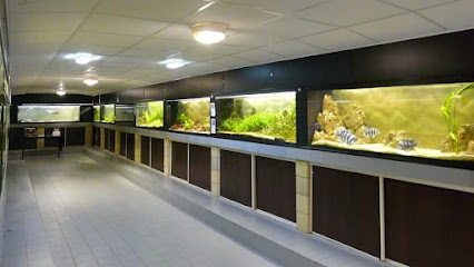 Refuge Des 2 Écailles (seulement Reptile et Poisson)