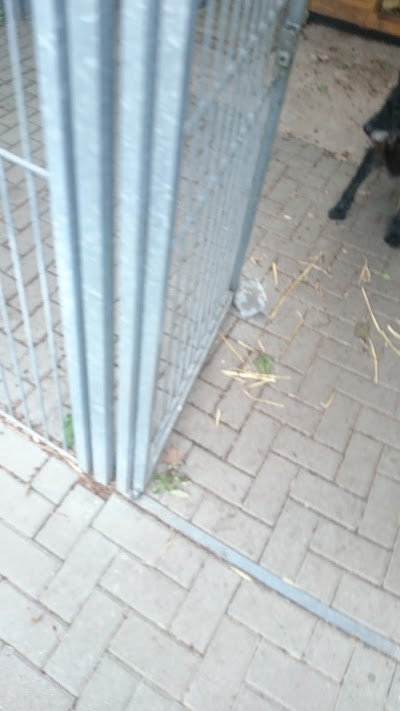 Photos of Tierheim der Landeshauptstadt Magdeburg