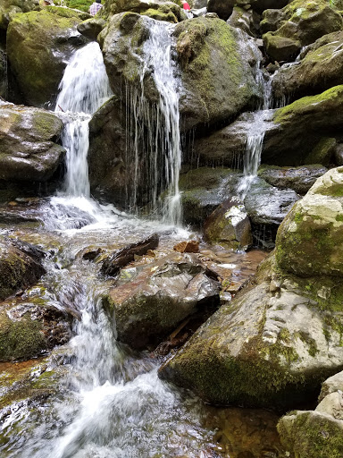 Dark Hollow Falls, Shenandoah National Park - Thumbnail