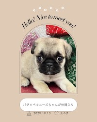 西村ジョイ丸亀店ペット館