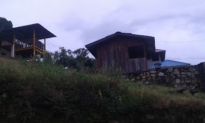 Photos of Hotel Tropicana