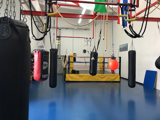 Pro-Fighting Forlì - Visual