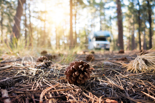 The Red Fox Campground - Thumbnail