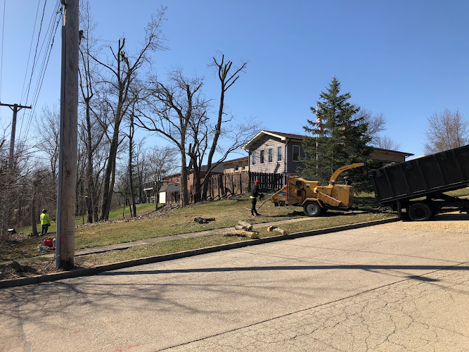 Dayton Tree Professionals LLC