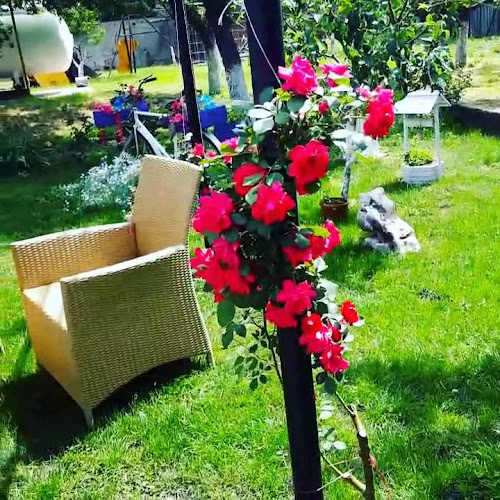 Кафе-автомивка “Мелкар” - Кюстендил