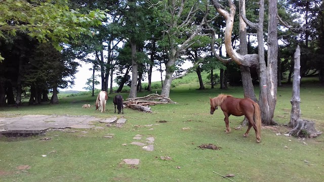 La Rhune